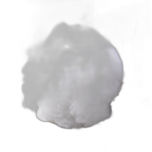 p5 image 4.jpg
