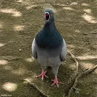 c4bddca8a190.webp