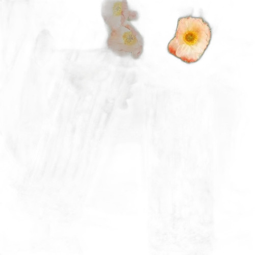 p1 image 3.jpg