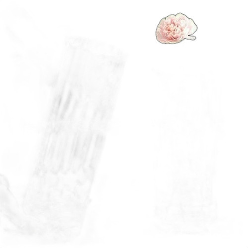 p1 image 1.jpg