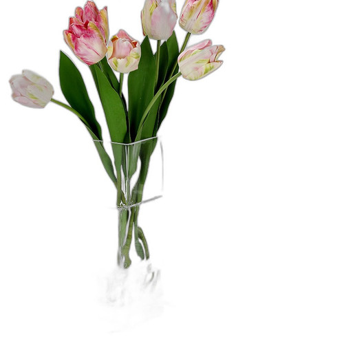 p2 image 2.jpg