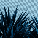 1ef7015ae39c.png