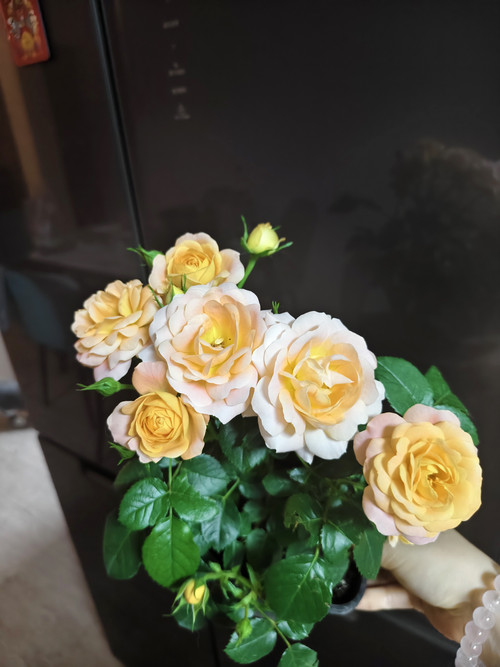 IMG 20260505 211416.jpg
