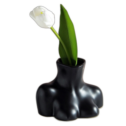 p5 image 1.jpg