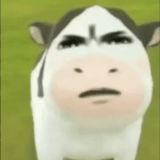 IMG 0940.gif