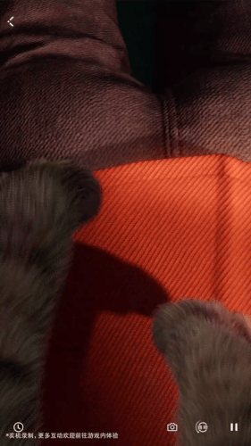 GIF 20260519115704939.gif