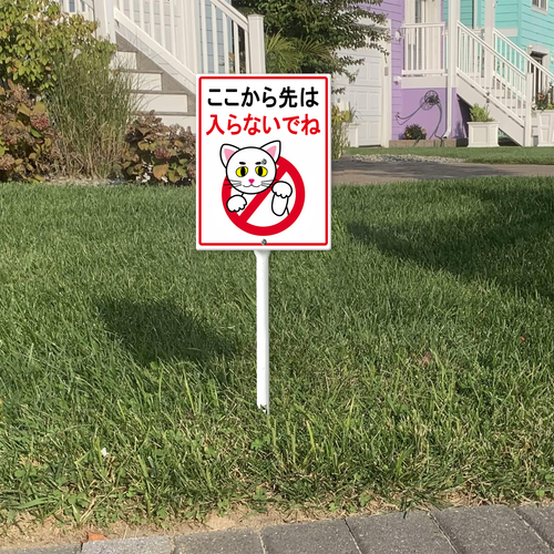 11 0519DC26N 05.png