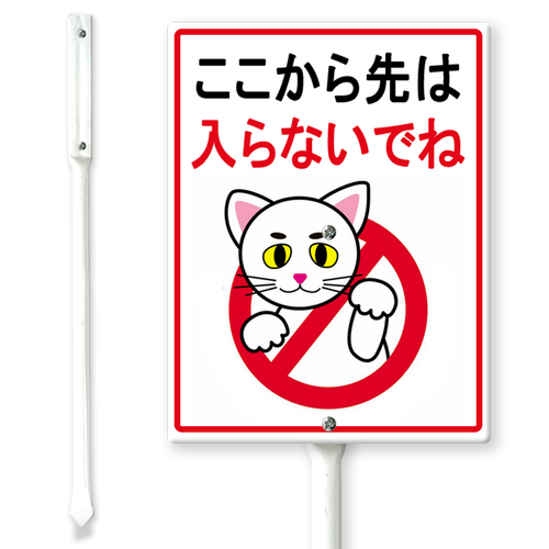 0519DC26N 05.png