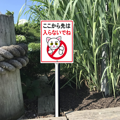 55 0519DC26N 05.png