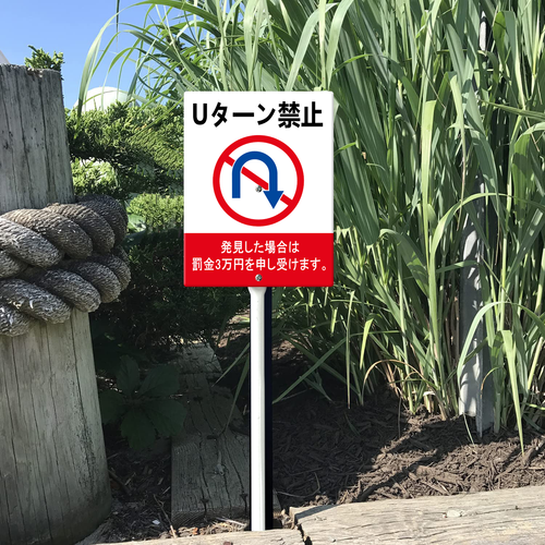 55 0519DC26N 08.png