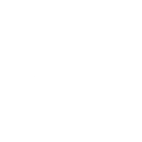 cactus du mexique.png