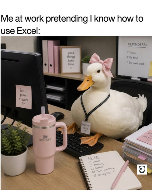 MEME (28).png