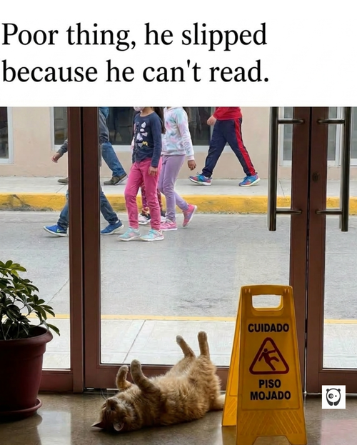 MEME (29).png