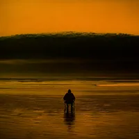 da76739de9a7.webp