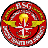 BSG.png