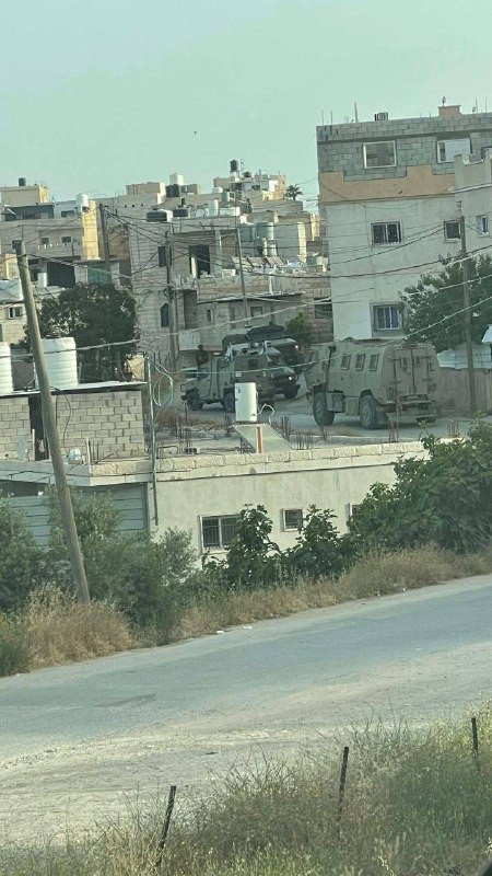 صورة الخبر