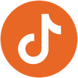TRG Icon Orange Tiktok
