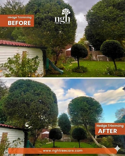 Look at the Difference Professional Hedge Trimming Makes to Your Garden!.jpg