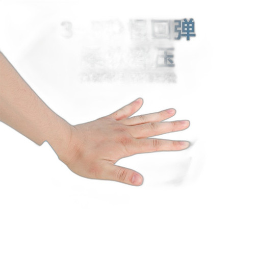 p5 image 3.jpg