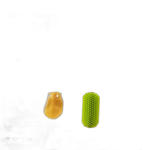 p1 image 1.jpg