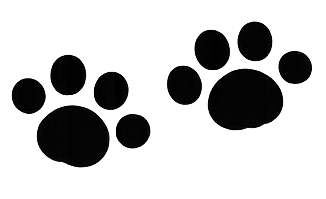 未标题 2.png