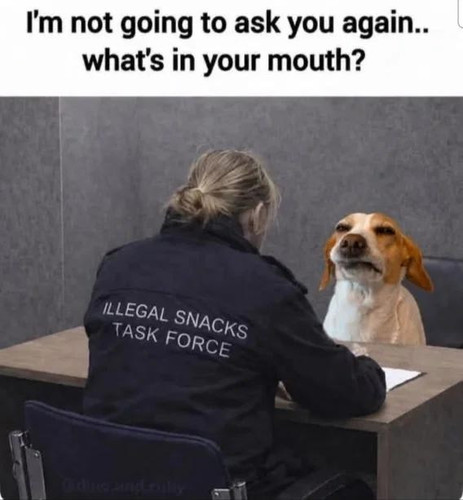 YSwRGnzpG2fZ.jpg