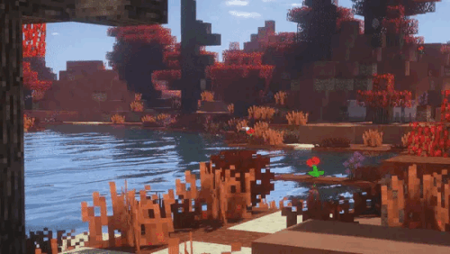 8fd03361 7c84 476d 87fe 1cfd39eecf82.gif
