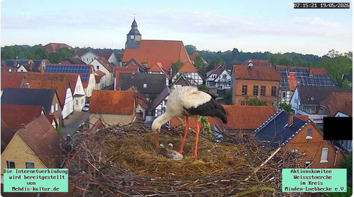 MWSnap078.jpg