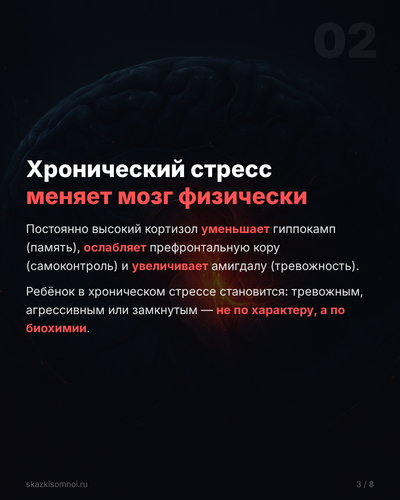 slide 03.png