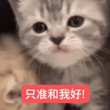 1000097713.gif