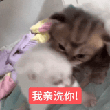 1000097715.gif