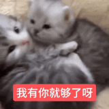 1000097714.gif