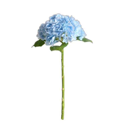 p1 image 5.jpg