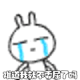 IMG 5151.gif