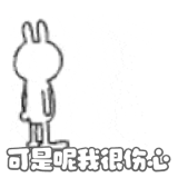 IMG 5177.gif