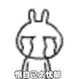 IMG 5164.gif