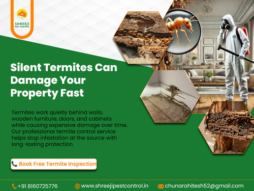 Protect Your Property from Silent Termite Damage.jpg