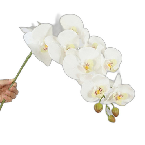 p4 image 2.jpg