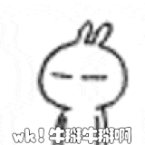 IMG 5154.gif