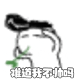 IMG 5185.gif