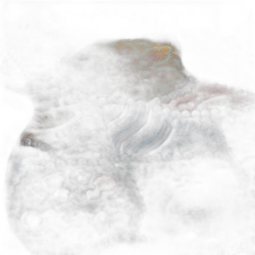 p2 image 4.jpg