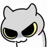 1000097498.png