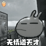 IMG 5196.gif