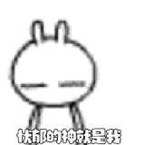 IMG 5160.gif