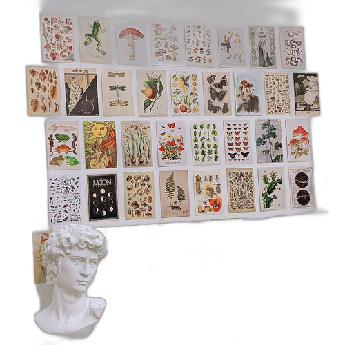 p3 image 1.jpg