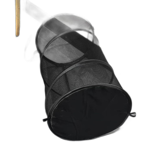 p4 image 4.jpg