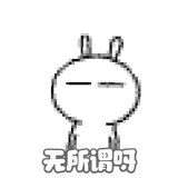 IMG 5142.gif
