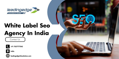 Boost Client Success with Professional White Label SEO Services in India.jpg