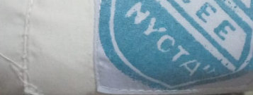 temp.png