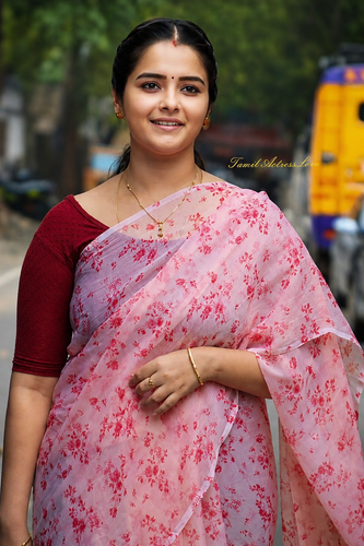 Tamil serial actress and cute actress hot saree (13).png